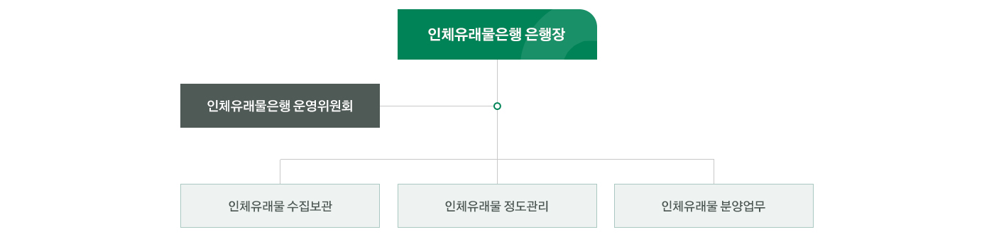 인체유래물은행 조직도이미지로서 자세한 내용은 하단에 위치해 있습니다.