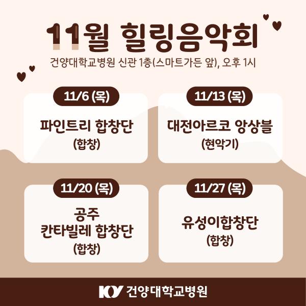 11월 힐링음악회 이미지