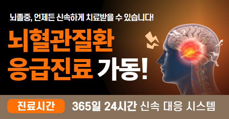 뇌혈관질환 응급진료 