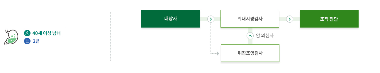40세이상 남녀 2년 / 대상자는 위내시경검사를 통해 조직진단을 받습니다. 예외적으로 위내시경검사가 어려운사람은 위장조영검사를 받습니다.